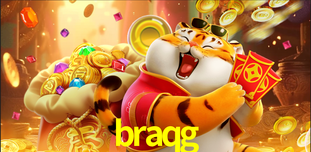 Programa VIP braqg